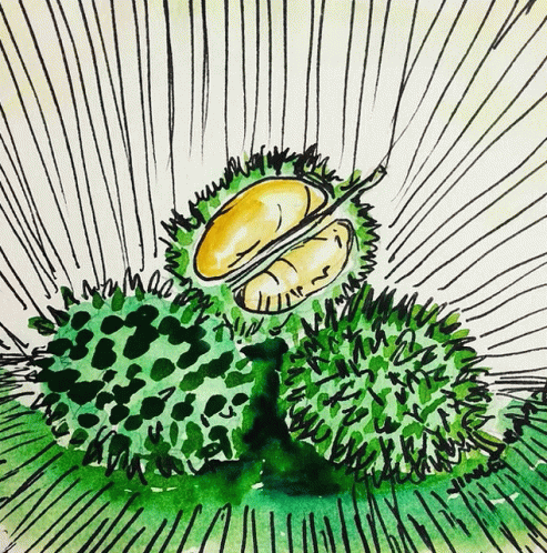 Durian Watercolour GIF - Durian Watercolour Art GIFs