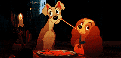 lady and the tramp dog eating spaghetti with a toothpick