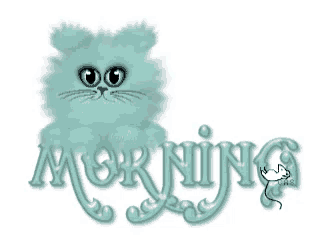 a picture of a cat with the word morning behind it