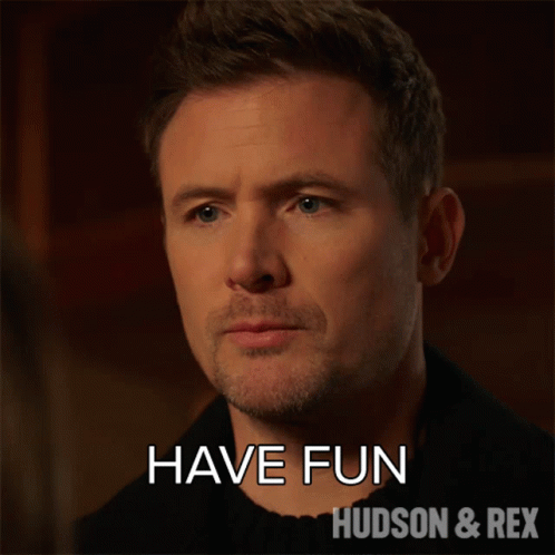 Have Fun Charlie Hudson GIF - Have Fun Charlie Hudson Hudson And Rex GIFs