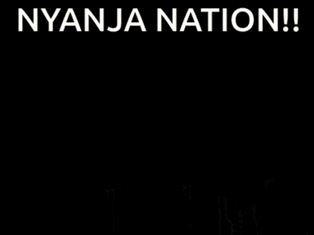 a billboard with a cat on it and the words nyanja nation below it