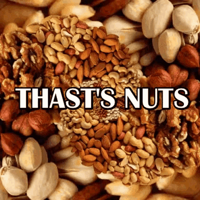 Thats Nuts GIF