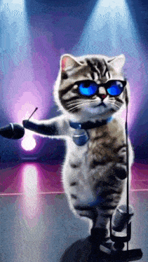 a cat is singing into a microphone wearing sunglasses