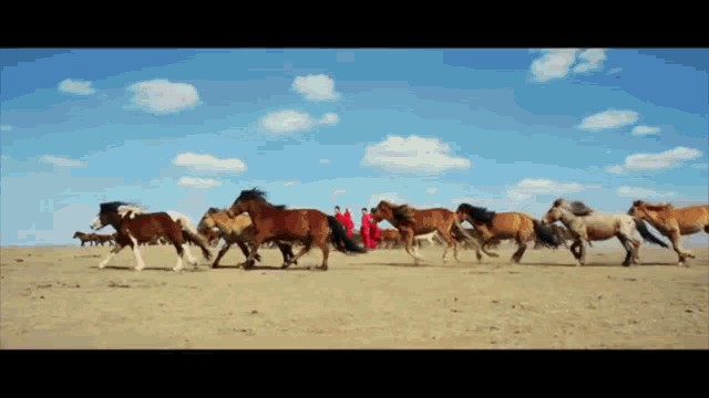 Horse Pack Of Horse GIF - Horse Pack Of Horse Sky GIFs