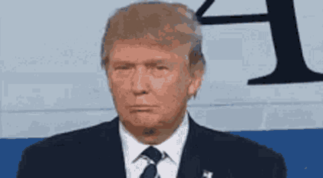 donald trump is wearing a suit and tie and making a sad face .