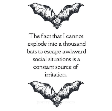 a black and white bat with a quote on it .