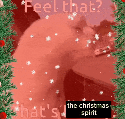 Feel That That'S The Christmas Spirit GIF - Feel That That'S The Christmas Spirit That'S True GIFs