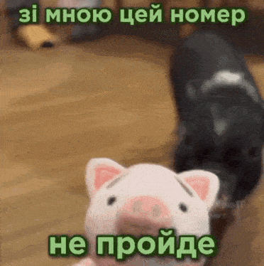 a stuffed pig with a caption in a foreign language .