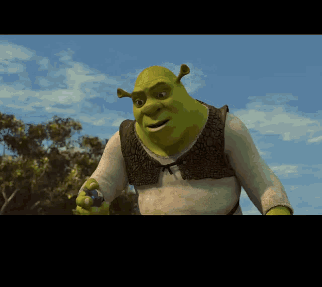 Meme Shrek GIF - Meme Shrek Dreamworks GIFs