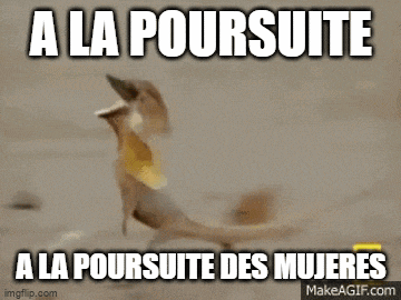 a lizard with the words " a la poursuite a la poursuite des mujeres " on it