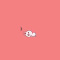 a brown bear is hugging a white dog on a red background .