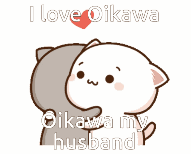 a cartoon cat hugging another cat that says i love oikawa