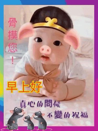 Good Morning 早上好 GIF - Good Morning 早上好 Greetings GIFs