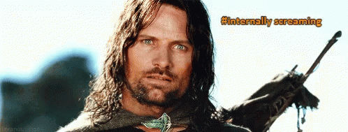 Lotr Lord Of The Rings GIF - Lotr Lord Of The Rings Viggo Mortensen GIFs