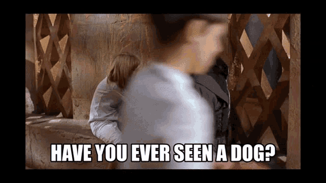 a blurry picture of a man and woman with the words have you ever seen a dog