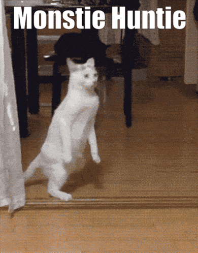 a white cat is standing on its hind legs in front of a sign that says monstie huntie
