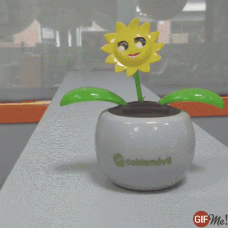 Solar Dancing GIF - Solar Dancing Sunflower Decor GIFs