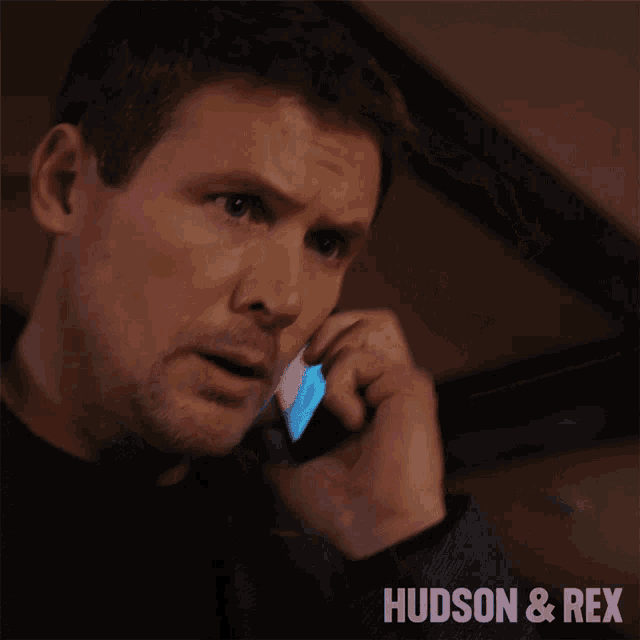 a close up of a man talking on a cell phone with the words hudson & rex on the bottom