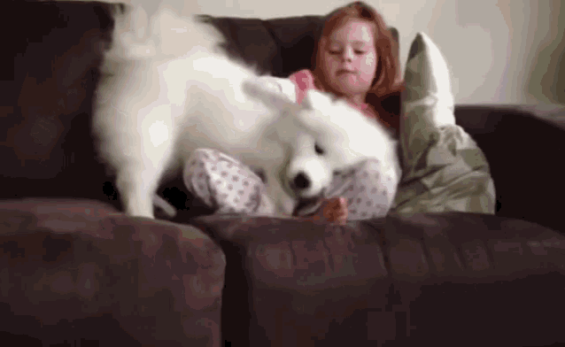 Dog Cuddle GIF - Dog Cuddle GIFs