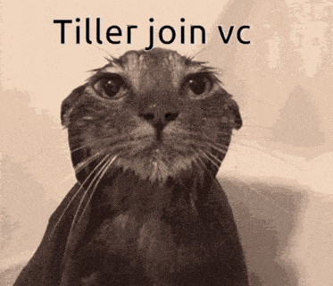 Join Vc GIF - Join Vc GIFs