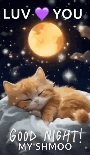 a kitten is sleeping on a pillow under a full moon .