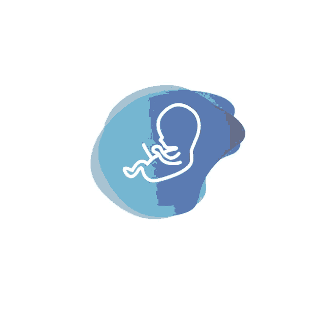 a line drawing of an embryo on a blue circle