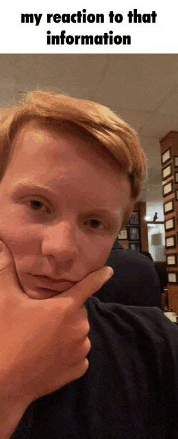a young man holds his hand to his chin and says " my reaction to that information " on the bottom