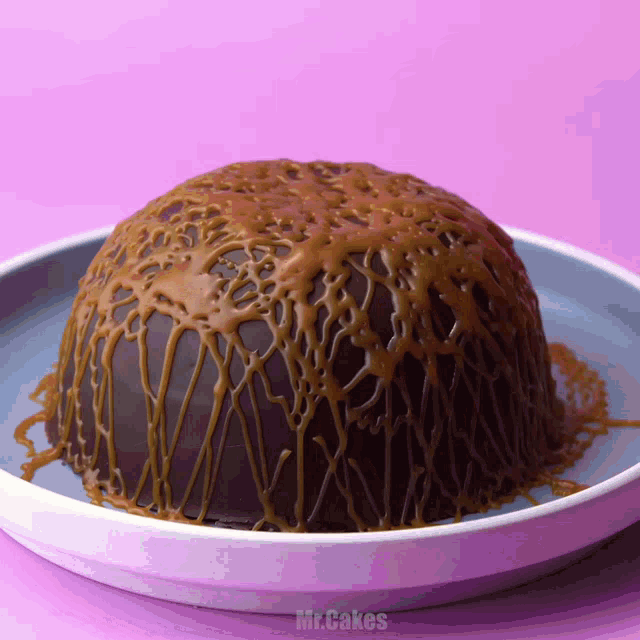 a chocolate cake covered in caramel is on a plate with mr.cakes written on the bottom