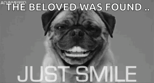 Dog Smile GIF - Dog Smile Just Smile GIFs