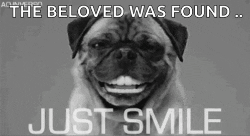 a black and white photo of a pug smiling with the words " the beloved was found just smile "
