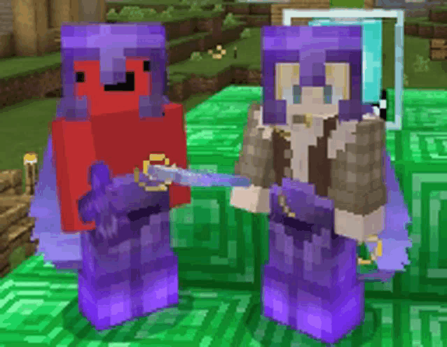 two minecraft characters standing next to each other