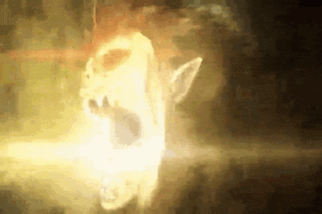 a close up of a person 's face with a light coming out of it