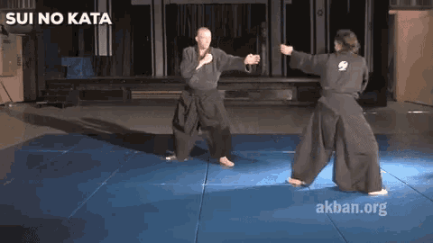 two martial arts fighters on a blue mat with the words sui no kata behind them