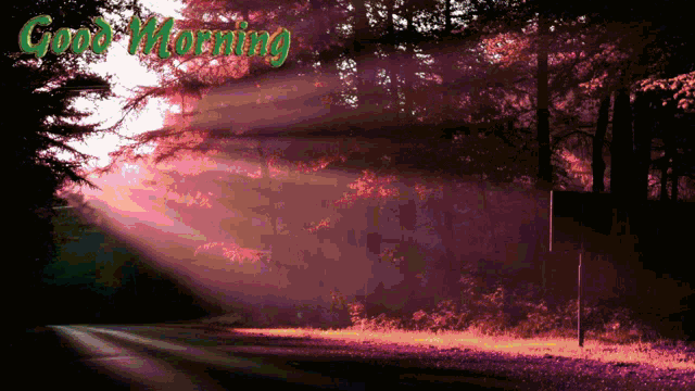 the sun shines through the trees with the words good morning