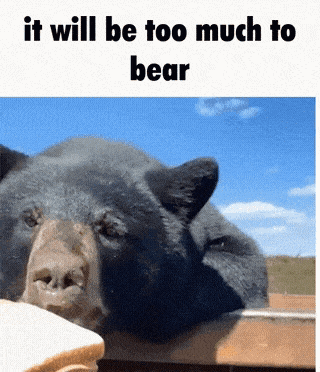 a picture of a bear with the words it will be too much to bear above it