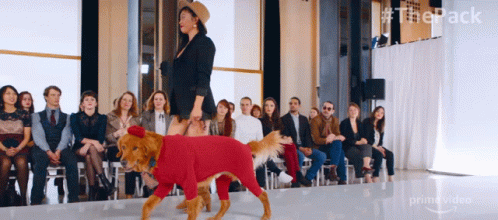 Modeling The Pack GIF - Modeling The Pack Runway GIFs