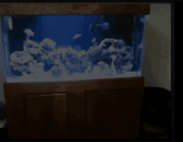 a fish tank with a blue light on the top of it