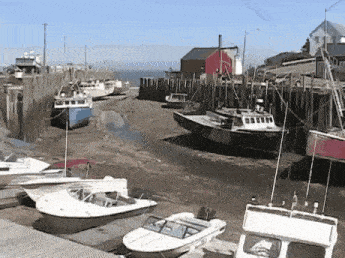 a row of boats are docked in a harbor with a red building in the background