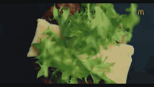a close up of lettuce and cheese with a mcdonald 's logo in the corner