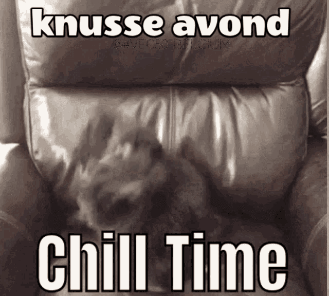 a picture of a dog laying in a chair with the words knusse avond chill time