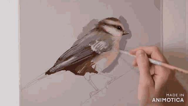 a person is painting a bird with the words made in animotica behind them