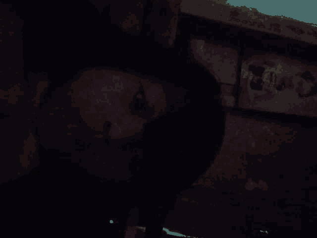 a person 's face is visible in the dark in front of a sign that says " royal "