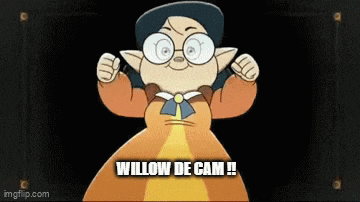 a cartoon character with glasses and a hat is standing in front of a black background and says `` willow de cam '' .