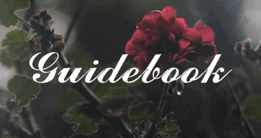 a guidebook with a picture of a flower in the background