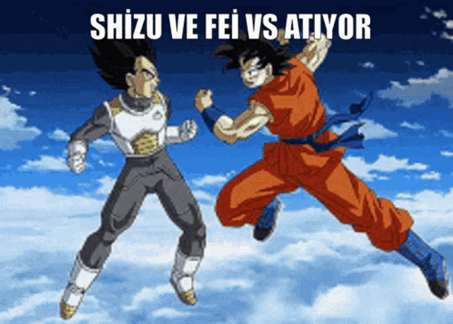 a cartoon of goku and vegeta fighting with the words shizu ve fei vs atiyor above them