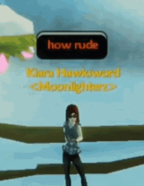 a girl in a video game is standing in front of a sign that says how rude .