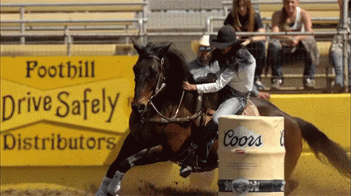 Western Riding GIF - Horse Horse Back Riding Ride GIFs