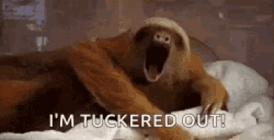 a sloth is yawning while laying on a bed and saying `` i 'm tuckered out '' .