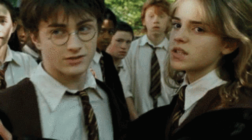 Harry Potter Hermione Granger GIF - Harry Potter Hermione Granger GIFs