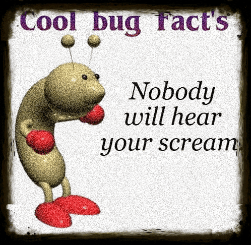 a picture of a bug with boxing gloves and the words cool bug facts nobody will hear your scream